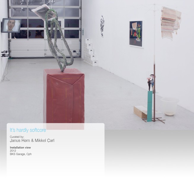 http://www.mikkelcarl.com/files/gimgs/th-34_008-Installation-view.jpg