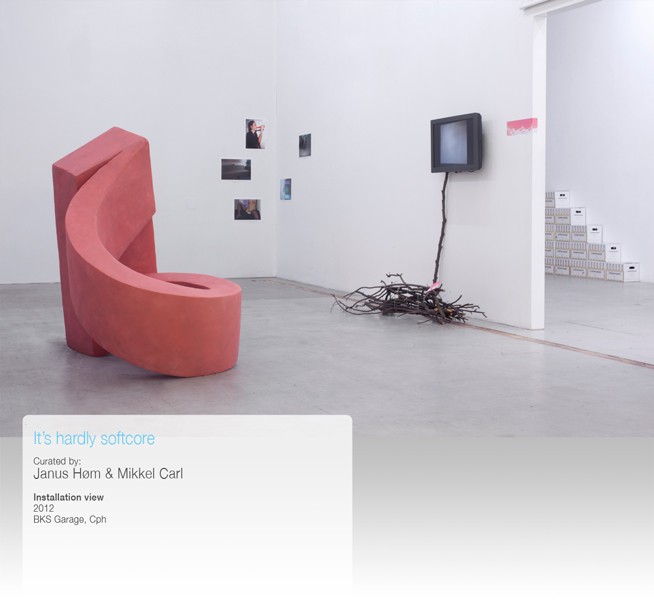 http://www.mikkelcarl.com/files/gimgs/th-34_014-Installation-view_v2.jpg