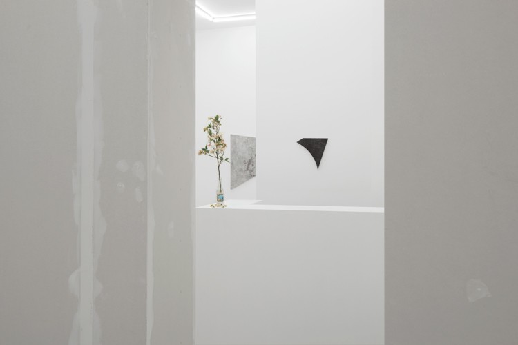 http://mikkelcarl.com/files/gimgs/th-89_025_Mikkel-Carl_Installation-view.jpg