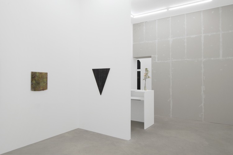 http://www.mikkelcarl.com/files/gimgs/th-89_036_Mikkel-Carl_Installation-view.jpg