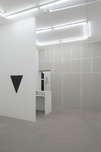 http://www.mikkelcarl.com/files/gimgs/th-89_040_Mikkel-Carl_Installation-view.jpg